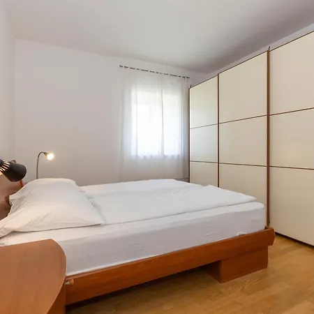 Dani-with Big Pool 50m2 * Labin