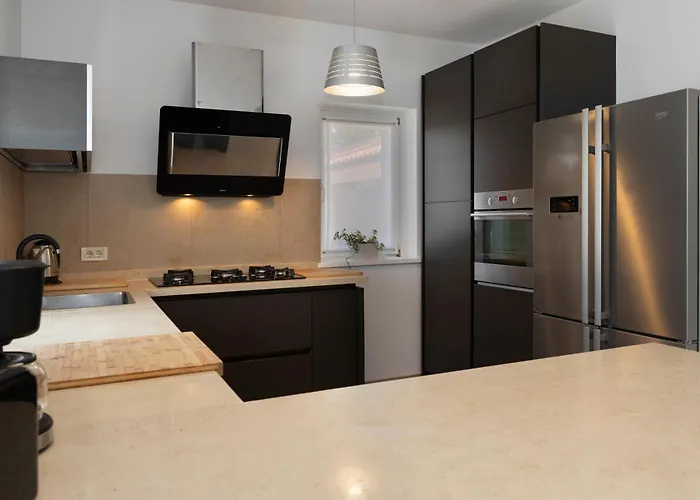 Dani-with Big Pool 50m2 * Labin (Istria)