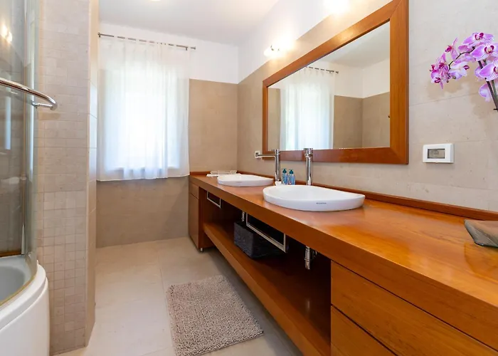 Dani-with Big Pool 50m2 Labin (Istria)